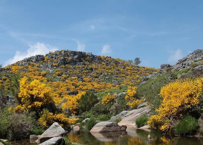 Pool & Sea Oporto 홈스테이 *